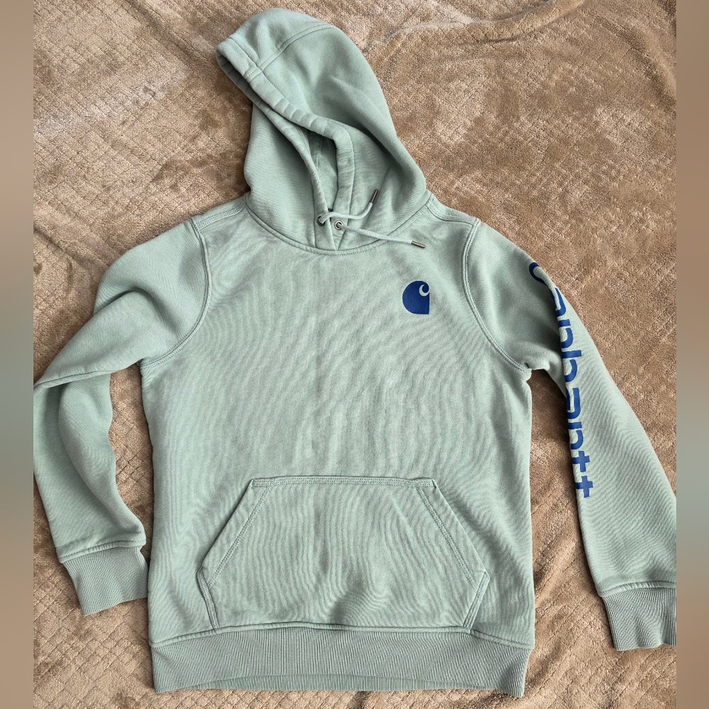 ^ Carhartt Sage Green Hoodie Graphic‎ Sleeve, Pullover, Medium, Warm, Winter